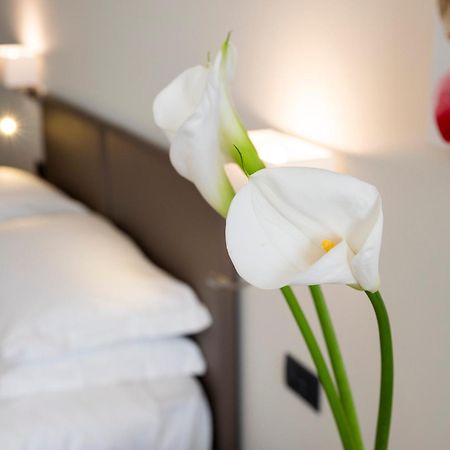 Hotel Plaza San Martino Siccomario Extérieur photo